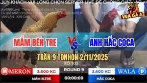 Trận 9 TonHon 2/11/2025 - Cú Kêu Điều Bay Bồ Sau Tay Nước Đầu Tiên