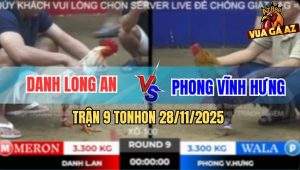 Trận 9 TonHon 28/11/2025 - Bướm Hiệu Anh Danh Đâm Không Sót Chân Nào