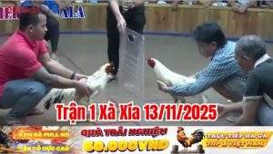Trận 1 Xà Xía 13/11/2025