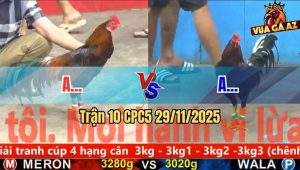 Trận 10 CPC5 29/11/2025