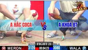 Tran 21 CPC3 30112025