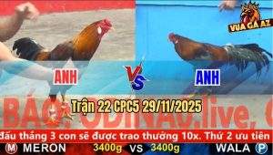 Trận 22 CPC5 29/11/2025