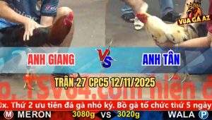 Trận 27 CPC5 12/11/2025