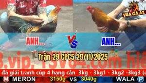 Trận 29 CPC5 29/11/2025