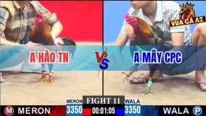 Tran 9 CPC3 30112025 2