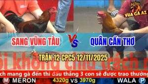 Trận 12 CPC5 12/11/2025