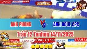 Trận 12 Tonhon 14/11/2025
