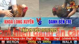 Trận 19 CPC5 11/11/2025