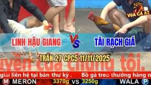 Trận 27 CPC5 11/11/2025