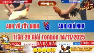 Trận 28 Giải Tonhon 14/11/2025
