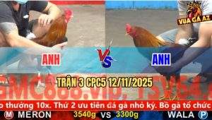 Trận 3 CPC5 11/11/2025
