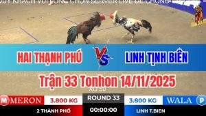 Trận 33 Tonhon 14/11/2025