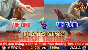 Trận 37 CPC5 13/11/2025
