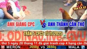 Trận 5 CPC5 11/11/2025