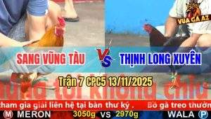 Trận 7 CPC5 13/11/2025