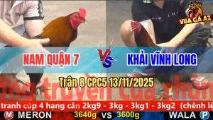 Trận 8 CPC5 13/11/2025