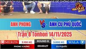 Trận 8 Tonhon 14/11/2025