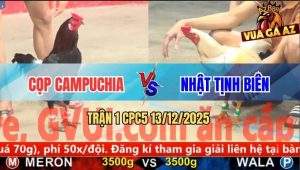 Trận 1 CPC5 13/12/2025 - Gà Bướm Anh Nhật Mở Bát Bị Đá Bung Bồ