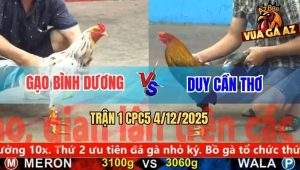Trận 1 CPC5 4/12/2025 - Gà Điều Anh Duy Mở Bát Đâm Bướm Quẹo Cổ