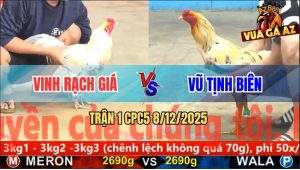 Trận 1 CPC5 8/12/2025 - Gà Bướm Anh Vũ Tịnh Biên Tải Cựa Quá Tốt