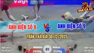 Trận 1 Xà Xía 30/12/2025 - Vô Trong Chuối Đen Đâm Gà Cú Gục Đầu