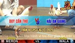 Trận 10 CPC4 16/12/2025 - Anh Duy Và Anh Hải Bất Phân Thắng Bại