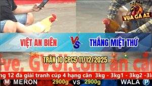 Trận 10 CPC5 11/12/2025 - Khét Anh Thắng Nuốt Ói Cầm Hơi Hạ Gà Bướm
