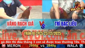 Trận 10 CPC5 23/12/2025 - Điều Chân Vàng Đâm Điều Xanh Ra Nước Tương