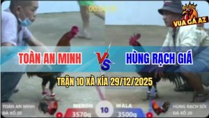 Trận 10 Xà Xía 29/12/2025 - Một Con Đứt Bóng, Một Con Tàn Phế Suốt Đời