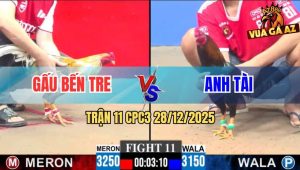 Trận 11 CPC3 28/12/2025 - Điều Anh Tài Hít Vô Đá Cú Hú Miệng Nhanh Gọn