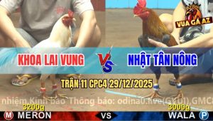 Trận 11 CPC4 29/12/2025 - Úa Cọp Anh Khoa Đá Xam Cú Chạy Kêu Miệng