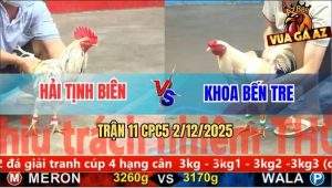 Trận 11 CPC5 3/12/2025 - Gà Bướm Anh Hải Đang Lâm Trận Nhớ Nhà Quay Xe