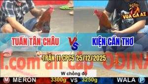 Trận 11 CPC5 25/12/2025 - Điều Anh Kiện Chồng Độ Đứt Bóng Ngay Phút 90