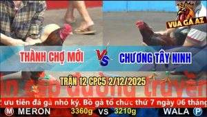 Trận 12 CPC5 3/12/2025 - Điều Xanh Anh Chương Đá Bo Khủng Tới Phút 90