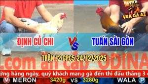 Trận 12 CPC5 24/12/2025 - Bướm Anh Định 3 Cước Bẻ Giò Đối Thủ