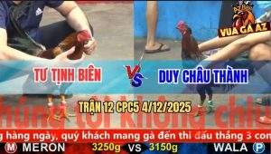 Trận 12 CPC5 4/12/2025 - Gà Vàng Anh Tư Gãy Cánh Có Chân Xạo Lờ