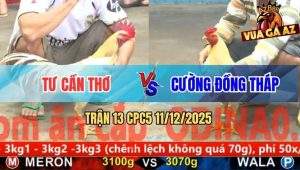 Trận 13 CPC5 11/12/2025 - Bướm Mồng Lá Má Mồng Dâu Đâm Đâu Thấm Đó