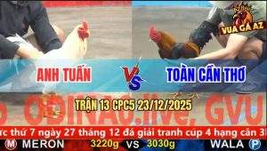 Trận 13 CPC5 23/12/2025 - Gà Que Hít Vô Nhét Cặp Nách Bướm Ngửa Bụng