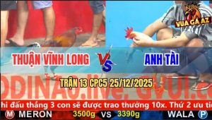 Trận 13 CPC5 25/12/2025 - Anh Thuận Và Anh Tài Bất Phân Thắng Bại