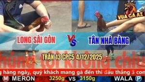 Trận 13 CPC5 4/12/2025 - Gà Phèn Anh Long Đâm Gà Que Như Tổ Ong