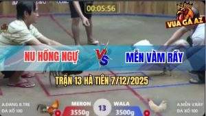 Trận 13 Hà Tiên 7/12/2025 - Úa Anh Mễn Đá Điều Anh Nu Không Kịp Tha Lơ