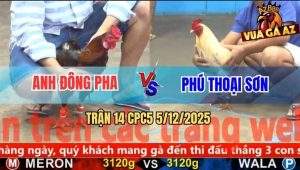 Trận 14 CPC5 5/12/2025 - Điều Đá Trứng Cút Bướm Thốn Dái Chạy Bay Bồ
