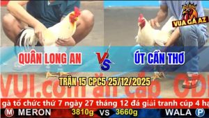 Trận 15 CPC5 25/12/2025 - Bướm Anh Quân Vô Kính Sợ Máu Bùng Chay
