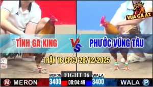 Trận 16 CPC3 28/12/2025 - Khét Đá Gà Vàng Tính Ga King Không Kịp Thở