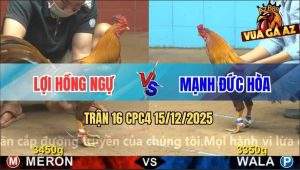 Trận 16 CPC4 15/12/2025 - Khét Đỏ Đá Chân Chí Tử Khét Xanh Chạy Chết