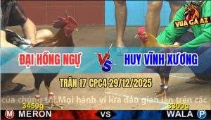 Trận 17 CPC4 29/12/2025 - Gà Cú Anh Huy Chăn 2 Chân Làm Thịt Đối Thủ