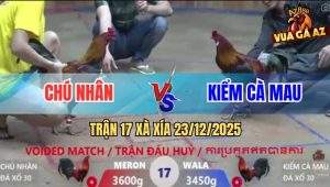 Trận 17 Xà Xía 23/12/2025 - Gà Anh Kiểm Tiếp Tục Càn Quét Tại Xà Xía