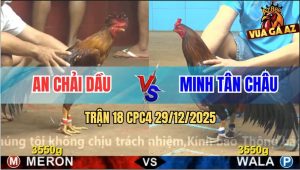 Trận 18 CPC4 29/12/2025 - Vàng Mồng Lá Anh An Đá Điều Xanh Bại Liệt