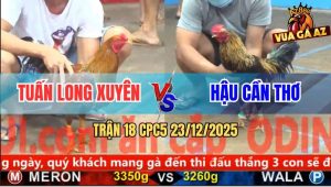 Trận 18 CPC5 23/12/2025 - Gà Anh Tuấn Có Chân Lạo Lờ Đá Chuối Tắt Điện