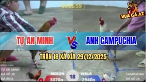 Trận 18 Xà Xía 29/12/2025 - Điều Cọp Anh Tư Đá Bướm Cánh CPC Gãy Cổ